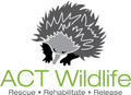 Logo for ACT Wildlife