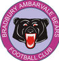 Logo for Bradbury Bears Football Club 