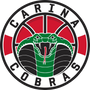 Logo for Carina Cobras Basketball Club