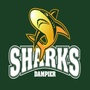 Logo for Dampier Sharks Junior Football Club