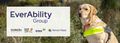Logo for EverAbility Group Limited