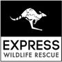 Logo for Express Wildlife Rescue & Rehab inc