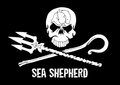 Logo for Sea Shepherd Australia