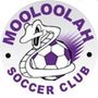 Logo for Mooloolah Hinterland Churches Soccer Club Incorporated