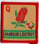 Logo for Nambour Districts Scout Group