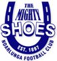 Logo for Noarlunga Football Club