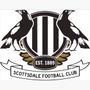 Logo for Scottsdale Football Club