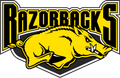 Logo for Tracy Village Football Club