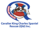 Logo for Cavalier King Charles Spaniel Rescue (Qld) Inc.