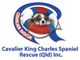 Logo for Cavalier King Charles Spaniel Rescue QLD Inc