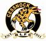 Logo for CESSNOCK RUGBY LEAGUE FOOTBALL CLUB