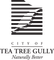 Logo for City of Tea Tree Gully