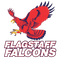Logo for Flagstaff Hill Football Club